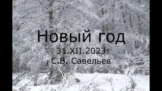 С.В. Савельев - Новый год