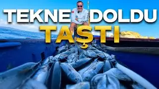 These Bonitos are CRAZY! No Room Left in the Boat | Legendary Longline Hunting