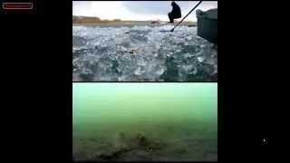 успешная ловля карасей в черте города