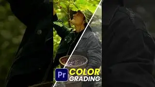 🎨Color Grading Premiere Pro 🔥