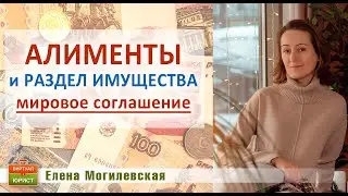 Мировое соглашение в суде по алиментам и разделу имущества