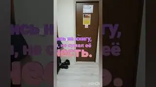 С 8 марта! 2023
