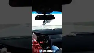 Кашкадарйода нексия йониб кетди