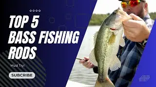 Must-Have: Top 5 Rods for Bass Fishing
