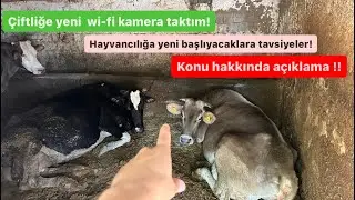 Çiftliğe kamera taktım / Sinek belası !!/ 2024 saman fiyatı ne kadar? / Yeni başlıyacaklara tavsiye!