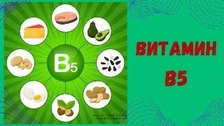 Витамин В5. Функции, формы, источники, симптомы и факторы дефицита,