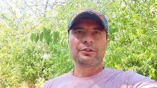 Сниженный жизненный тонус, депрессия. Способ улучшения состояния