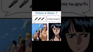 Робин в Water 7 