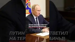 Путин жёстко ответил на теракты Украины! #путин #война #сво #украина #россия #теракт #новости