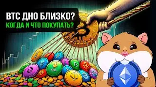 Время действовать! Обзор BTC и алькоинов. Что нас ждет дальше?