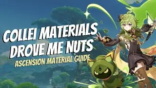 They DID NOT Want You To Farm For Collei! | Ascension Material Guide? | Genshin Impact 3.0