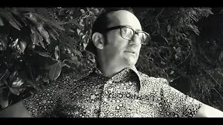 Tony Borlotti e i suoi Flauers - Polaroid