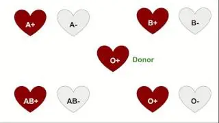 Blood Donation : Who can donate to whom : Learn in just 1 minute : Save life