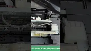 EPSON L360 red light blinking error code 