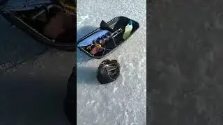 лучший мотоцикл для зимней рыбалки