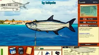 РР3 Саргассово Море. Мини Квест ТАРПОН