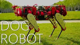Quadruped Dog Robot : CLAW