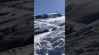 Snowfall 