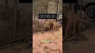 Не называйте так мужчин в постели!
