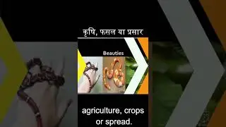 "The Vital Role of Snakes in Maintaining Ecological Balance: A Must-Watch!"  #snake #cobra #krait