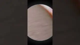 Untitled video