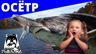 ОСЁТР ТУНГУСКА - Летающая лодка ► ФАРМ ✅ РУССКАЯ РЫБАЛКА 4 🔴 Russian Fishing 4 🔴 РР4