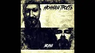 НОЧНАЯ ТРОСТЬ-Воля (сингл 2020)