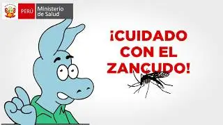 Cuidado con el zancudo - Conoce al vector