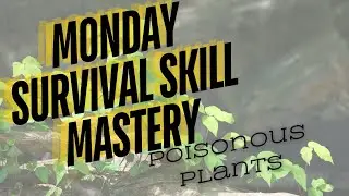 Identifying Poisonous Plants in 60 seconds