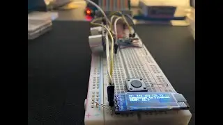 Demo: Circuit Python su Raspberry: Firebase RealtimeDB / Storage, Google Sheets, Camera e BLE sensor