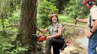 Two men on the Stump. Essential Craftsman runs Stihl 500i