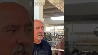 Mają czołowe miejsca na wystawach