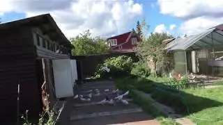 В гостях у Рафика Рустамова. 
