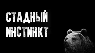 Стадный инстинкт или как увеличивают спрос на товар [18+]