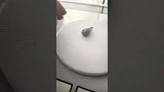 timah pancing ukuran 40gr lengkap dengan kili