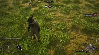 Hogwarts legacy campaign on ps5