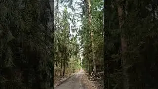 Экадаши, двадаши перед Картика пурнимой - полнолунием на Плеядах