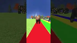 Epic Animal Race, Bear, Gorilla, Lion, Leopard, Who will Win? #Shorts