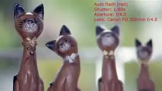 Canon Speedlite 199A External Flash Review And Overview