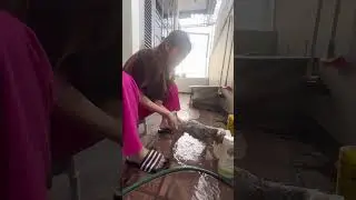YANG GAKUAT JANGAN LIAT ‼️‼️