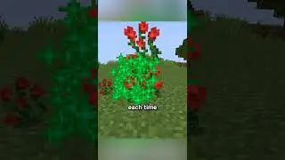 flower farm