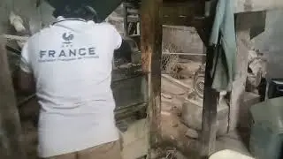 pabrik  tertua di kampung cikatulampa