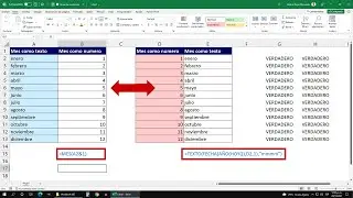 Cómo Convertir un Mes de Texto a Número y de Número a Texto en Excel