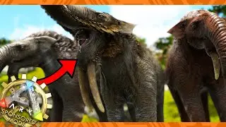 this update could change ARK