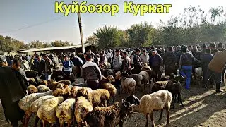 Куйбозор Куркат.