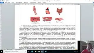 Tecido muscular
