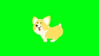 Dog Running Green Screen