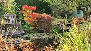 'The Cottage' English Country Garden in Autumn