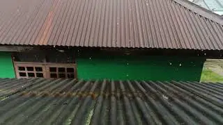 шум дождя по крыше заставляет крепко спать и снимает стресс
