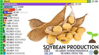 THE LARGEST SOYBEAN PRODUCERS IN THE WORLD
